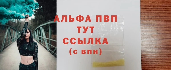 a pvp Аркадак