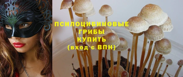 a pvp Аркадак