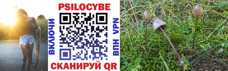 хочу   Гагарин  Галлюциногенные грибы Magic Shrooms 